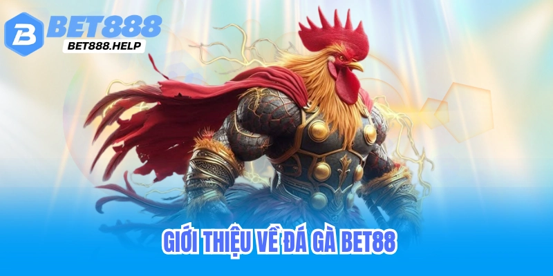 Đá Gà Online Bet88 - Live Trực Tiếp Đá Gà Thomo Cambodia 2 Hướng dẫn cách cá cược đá gà tại bet88